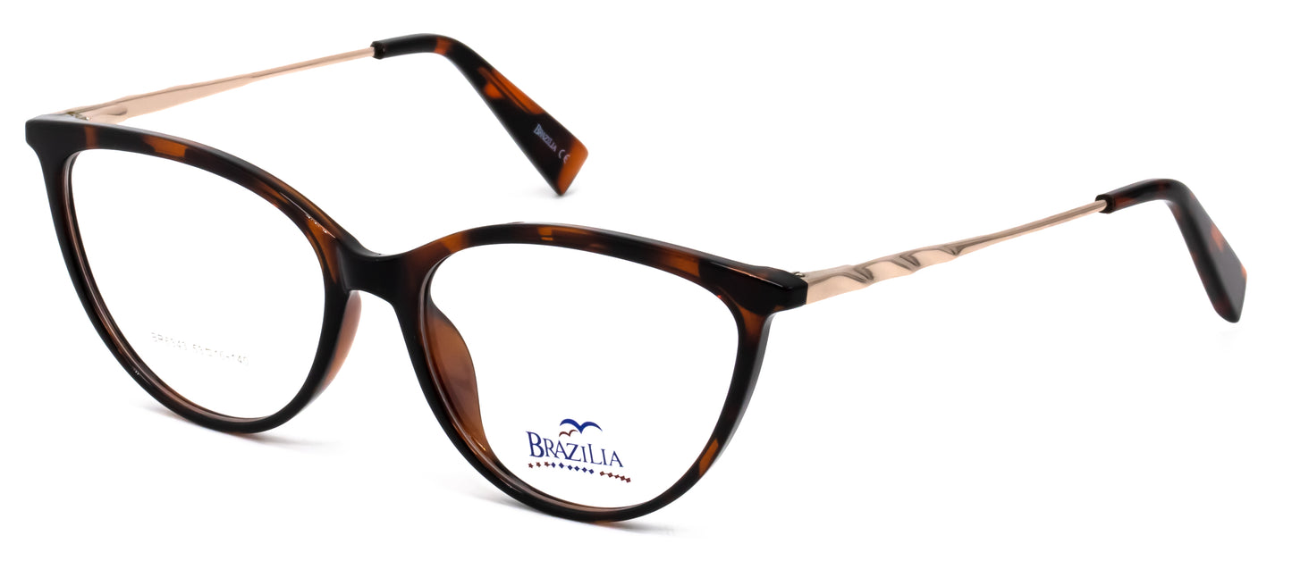 Brazilia BR6343