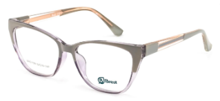 Brest BRE1109