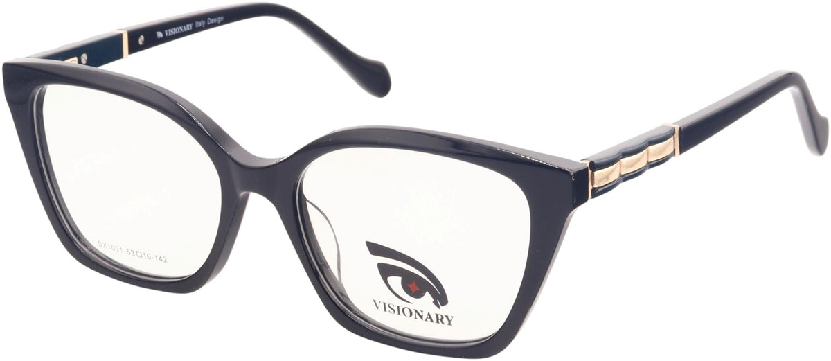 Visionary DX1091