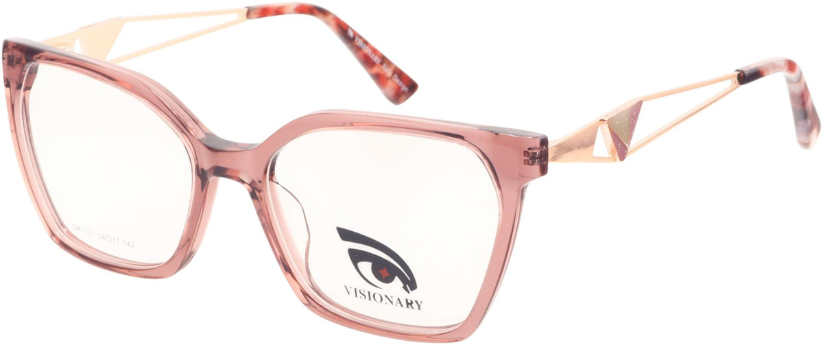 Visionary DX1101
