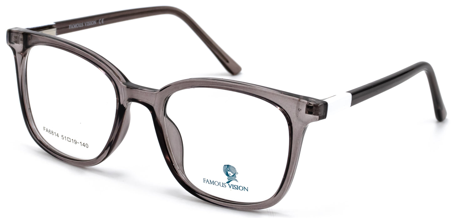 Famous VisionFA6814