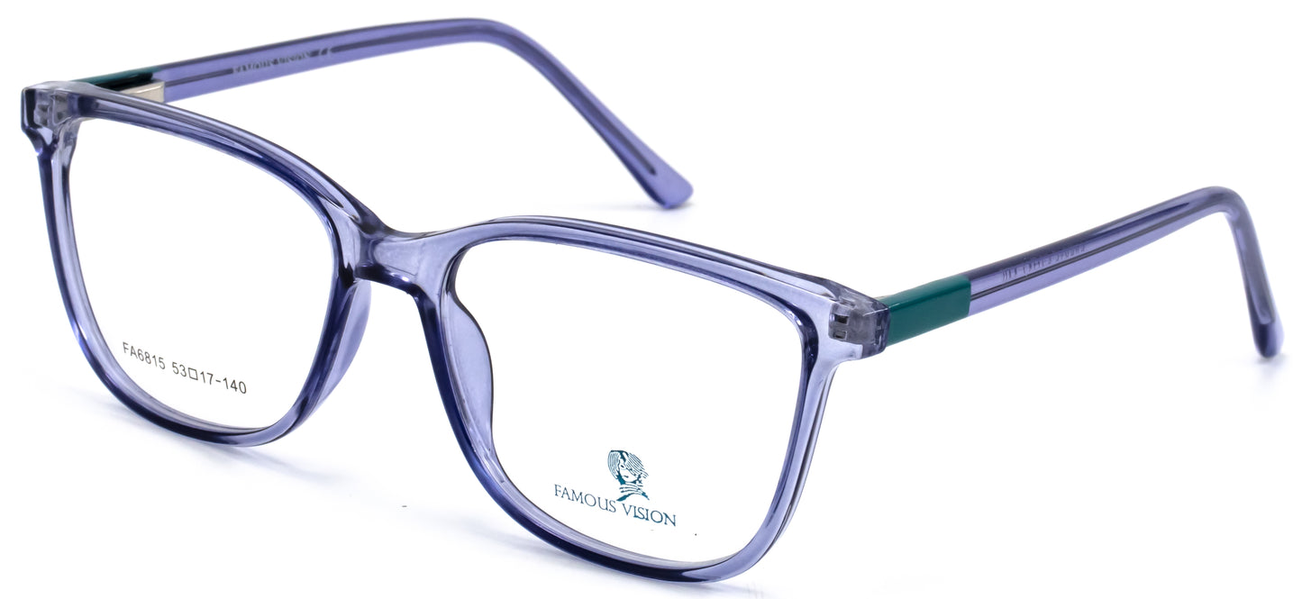 Famous VisionFA6815