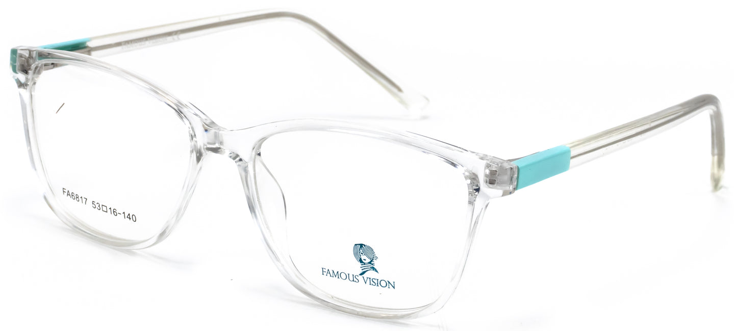 Famous VisionFA6817