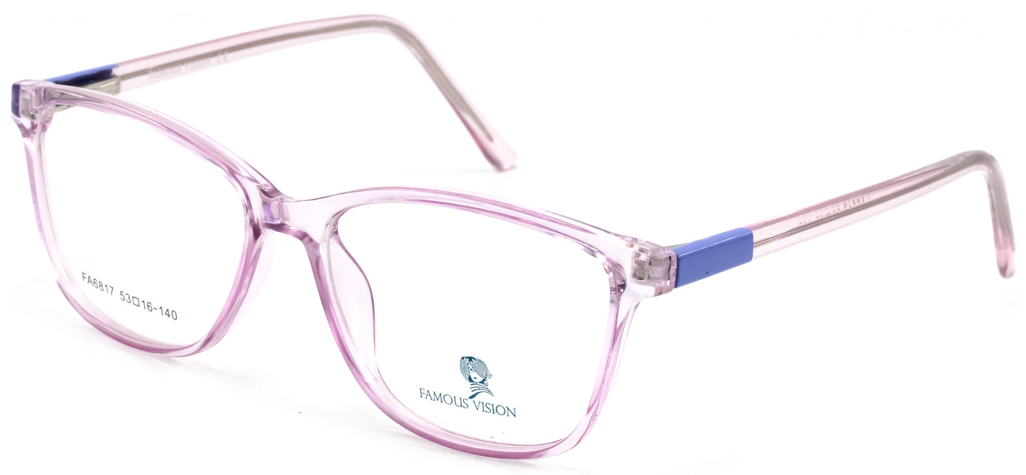 Famous VisionFA6817