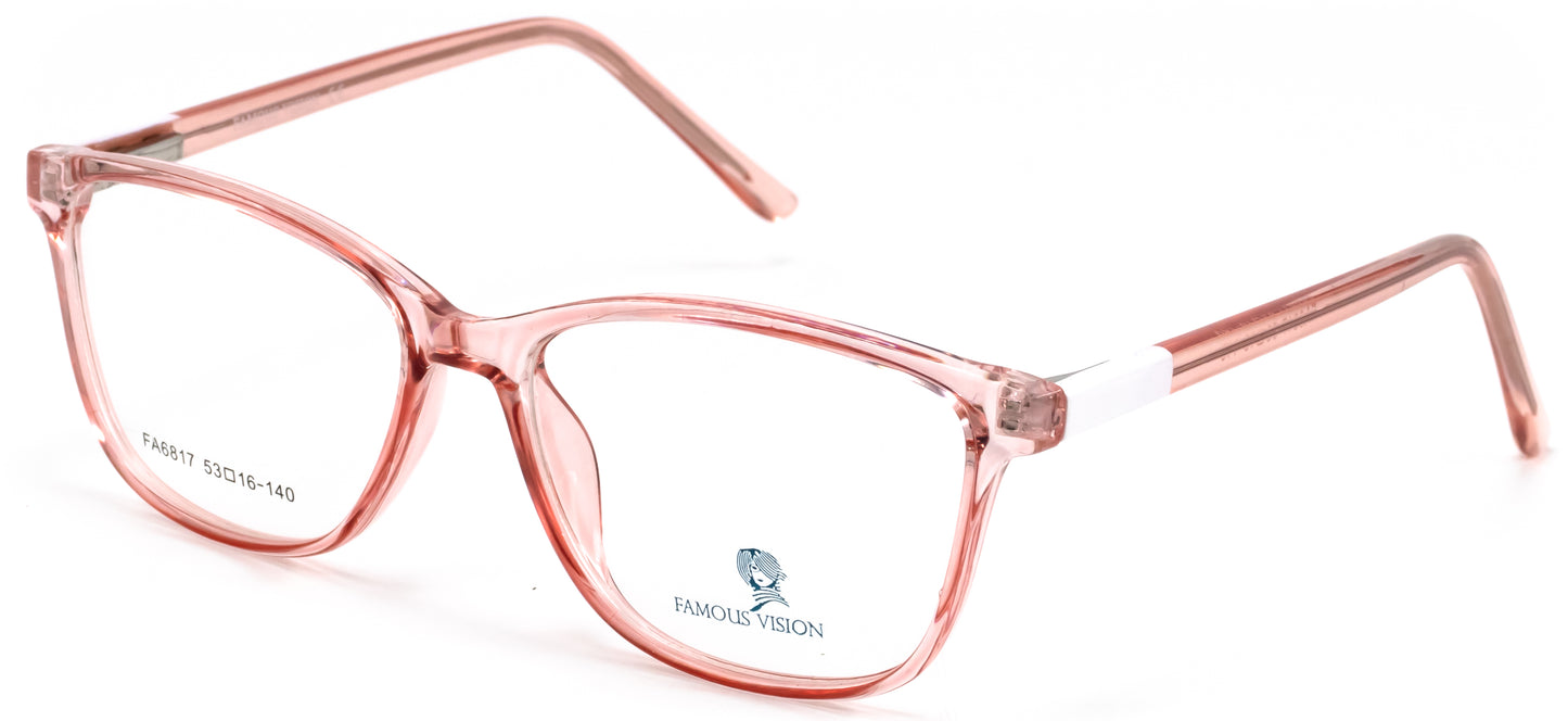 Famous VisionFA6817