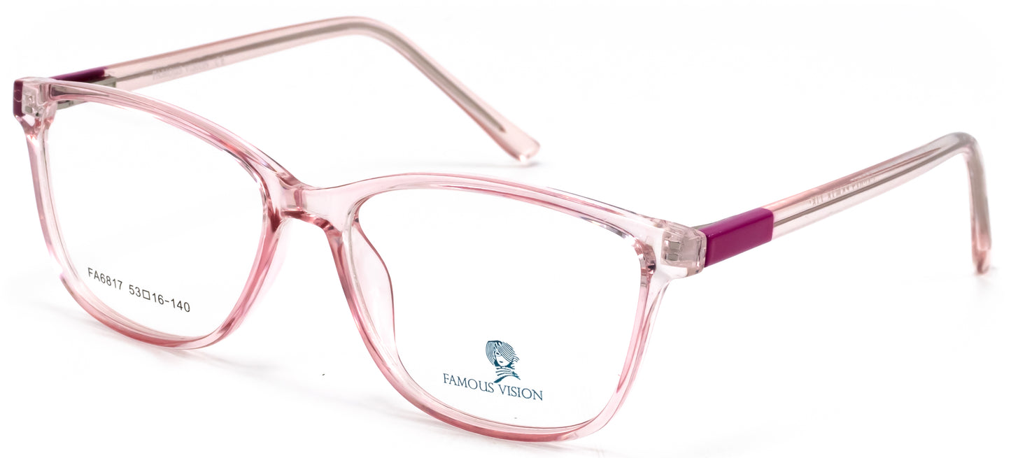 Famous VisionFA6817