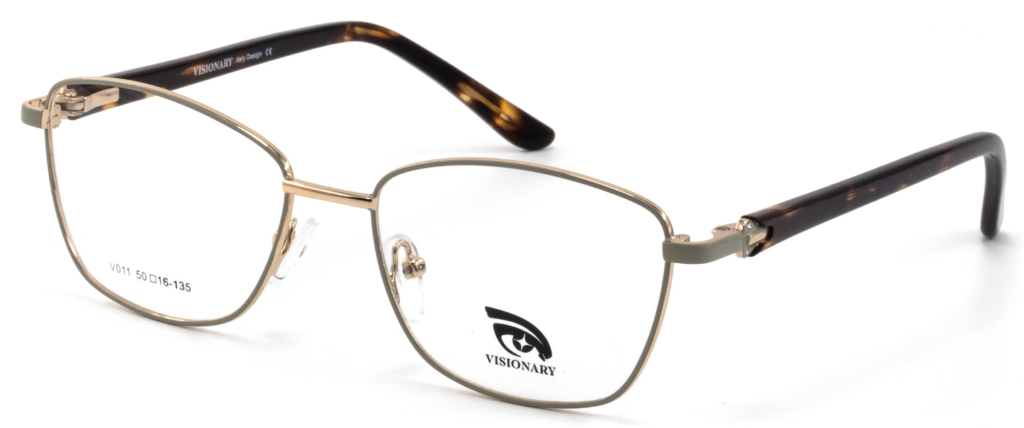 Visionary V011