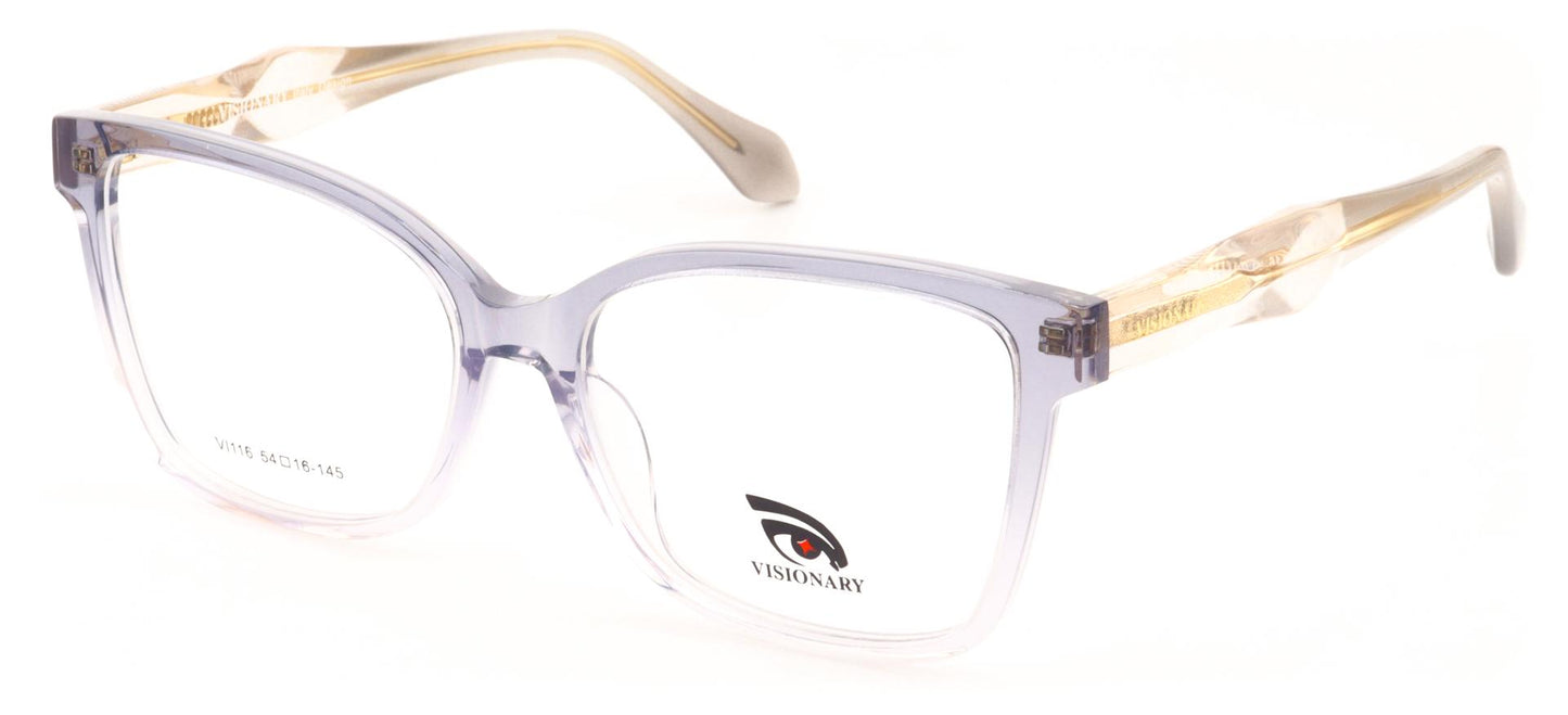 Visionary VI116