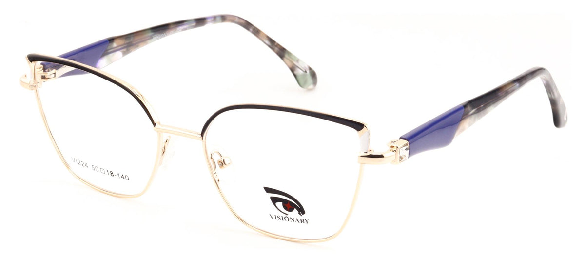 Visionary VI224