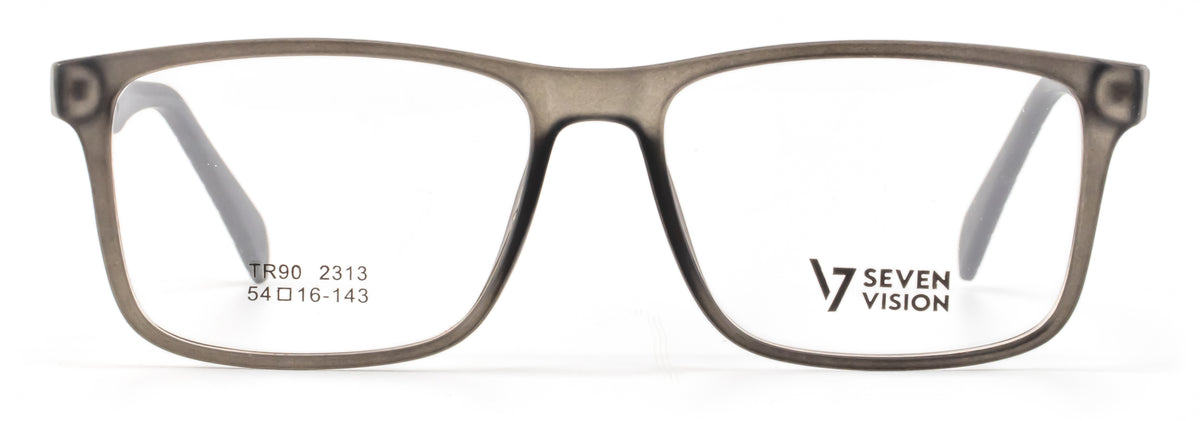Vision 7 TR2313