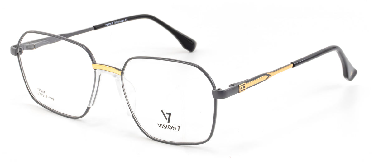 Vision 7 62804