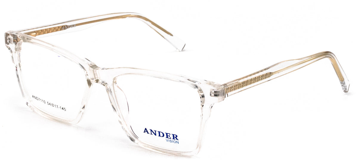 Ander Vision AND7110