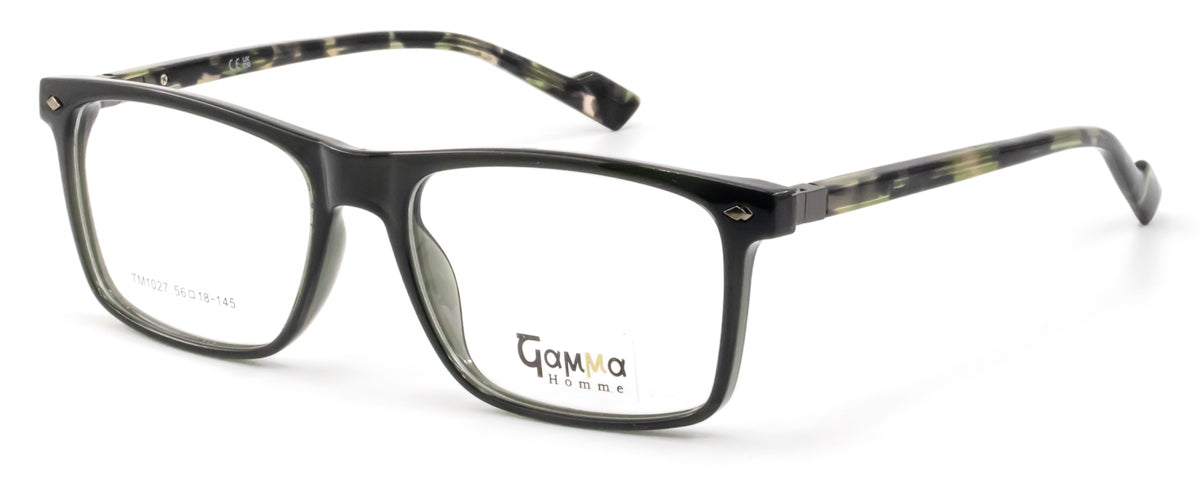 GammaTM1027
