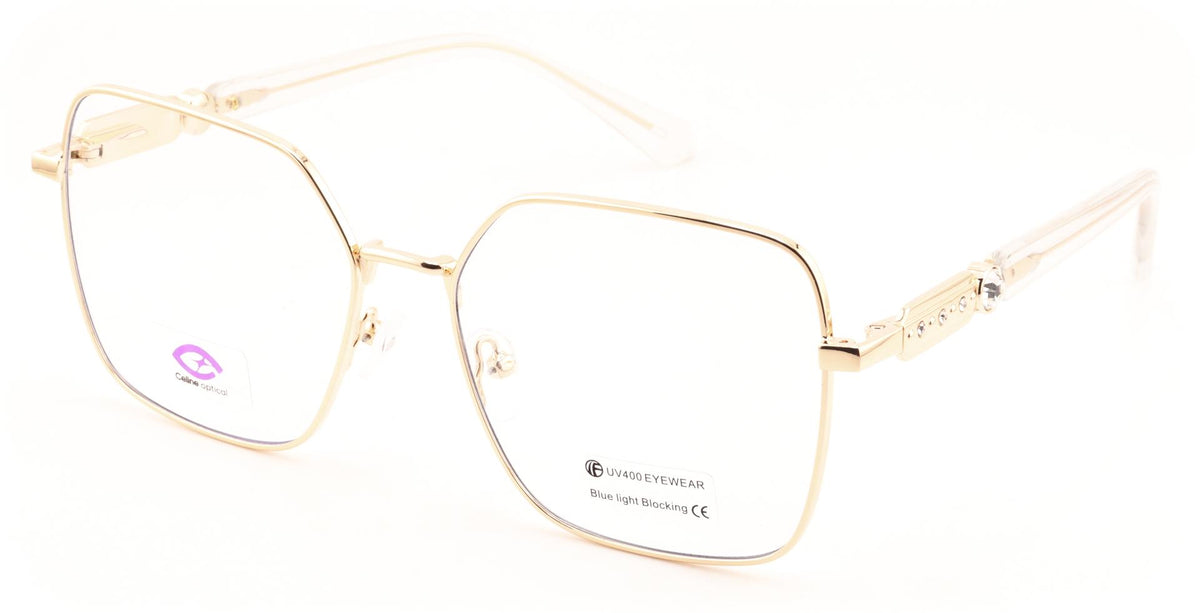Celine Optical 81787