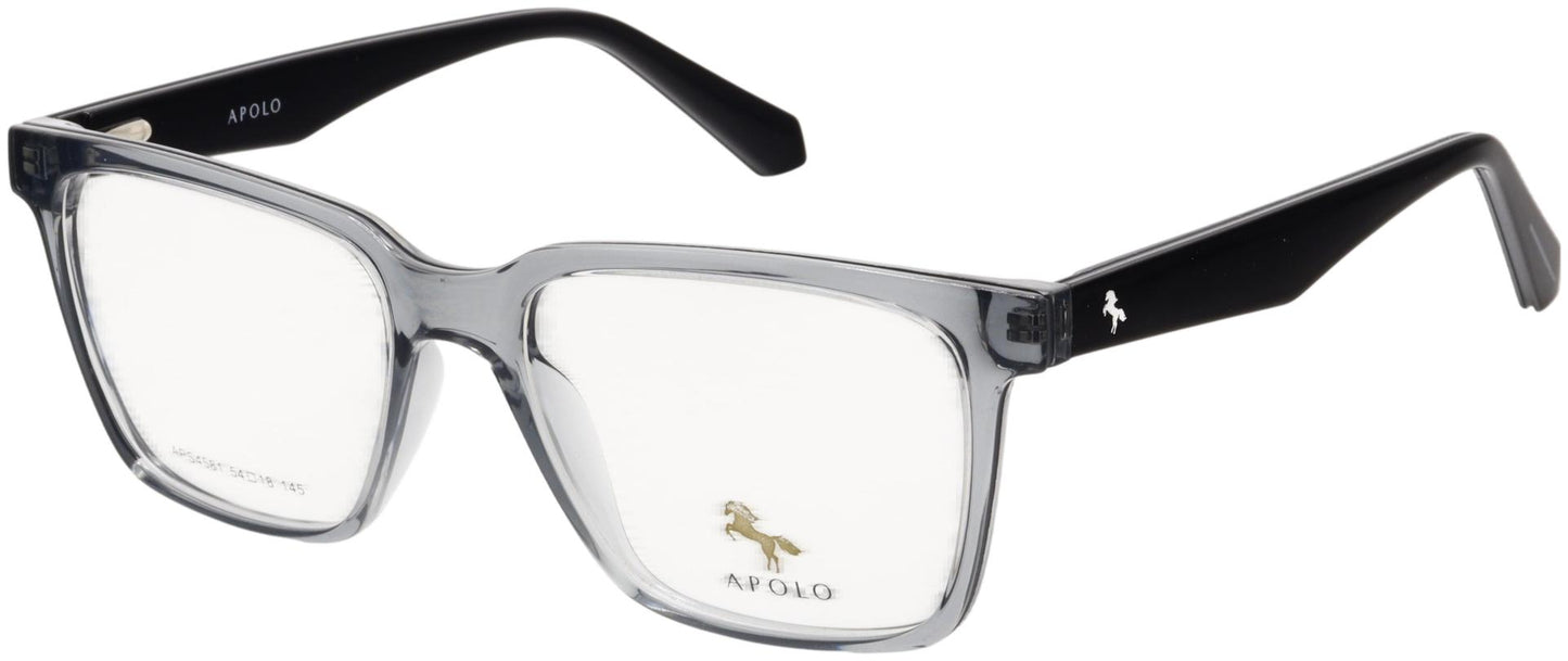 Apolo Eyewear APS4581