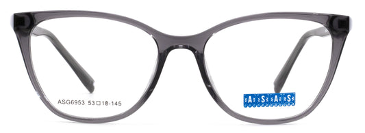 Asas ASG6953