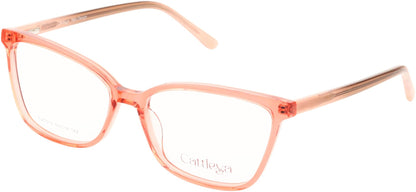Catalleya CAT015