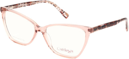 Catalleya CAT016