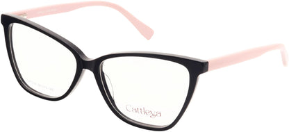 Catalleya CAT016