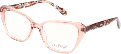 Catalleya CAT017