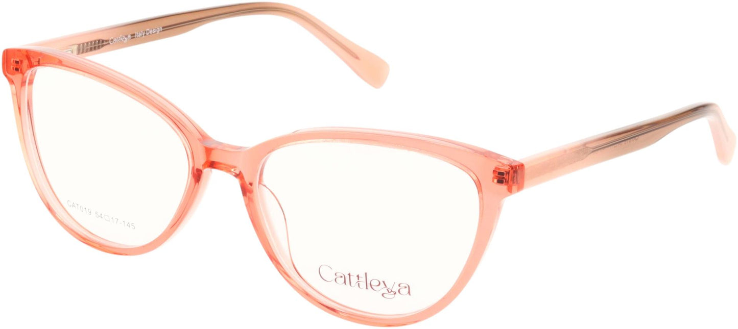 Catalleya CAT019