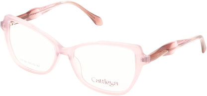 Catalleya CAT020
