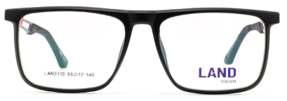 Land Vision LAN3110
