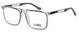 Land Vision LAN3110