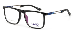 Land Vision LAN3110