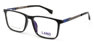 Land Vision LAN3106