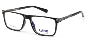 Land Vision LAN3101
