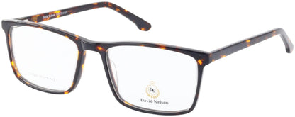 David Kelson DK028