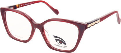 Visionary DX1091