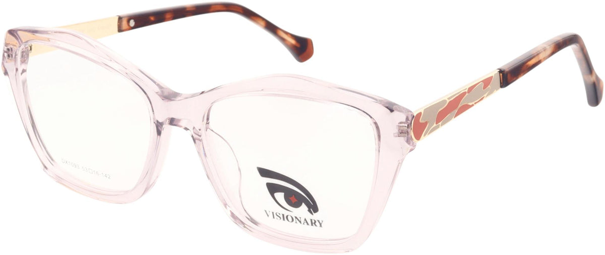 Visionary DX1093