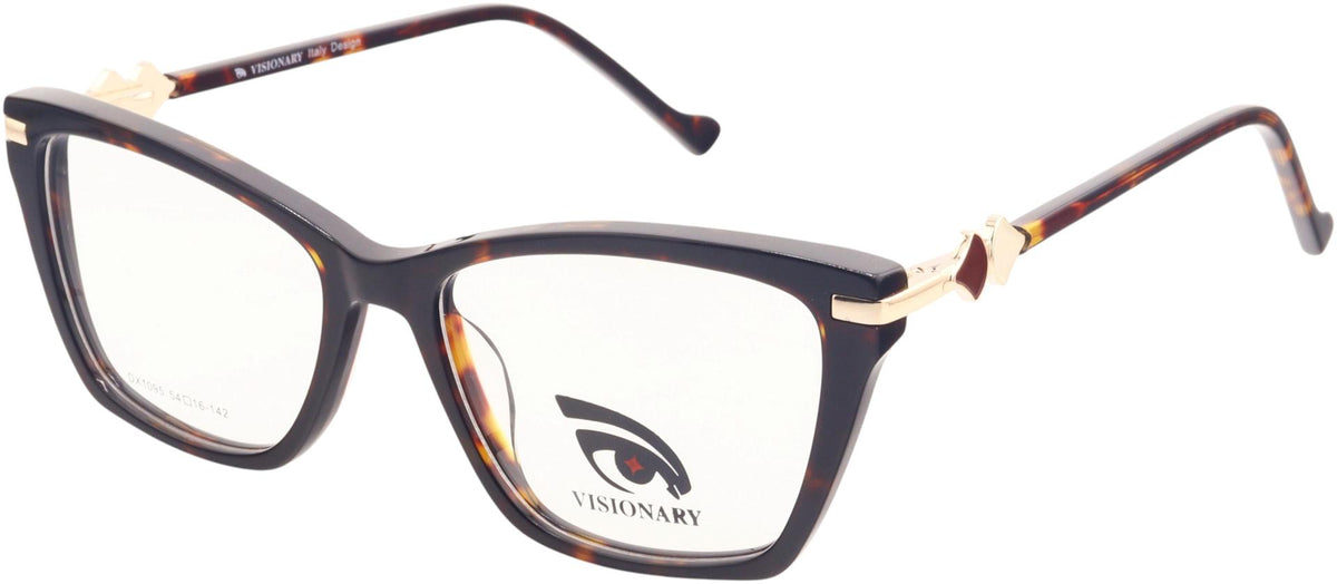 Visionary DX1095