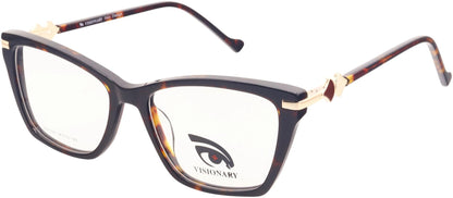 Visionary DX1095