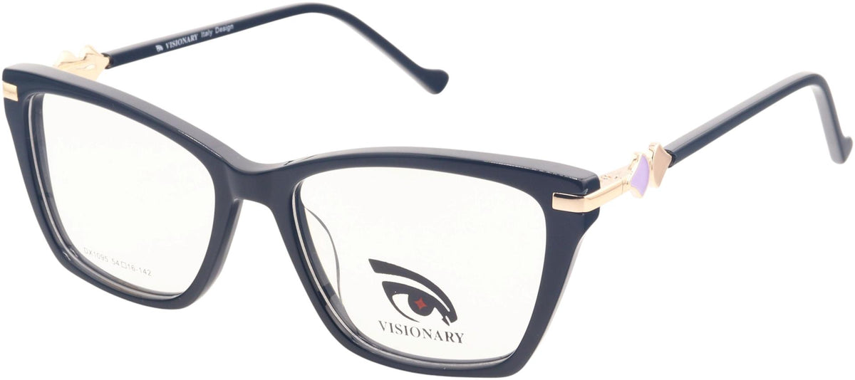 Visionary DX1095