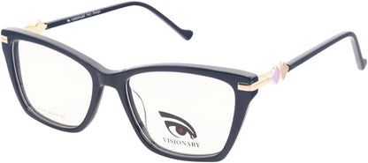 Visionary DX1095
