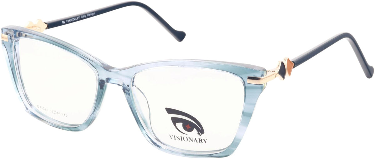 Visionary DX1095