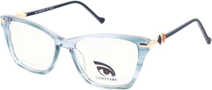 Visionary DX1095