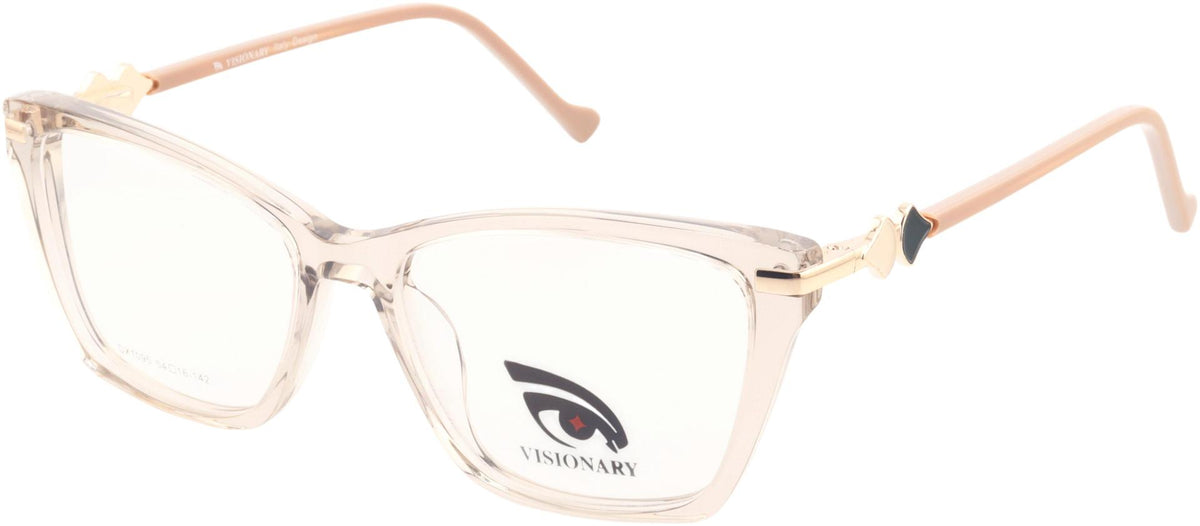 Visionary DX1095