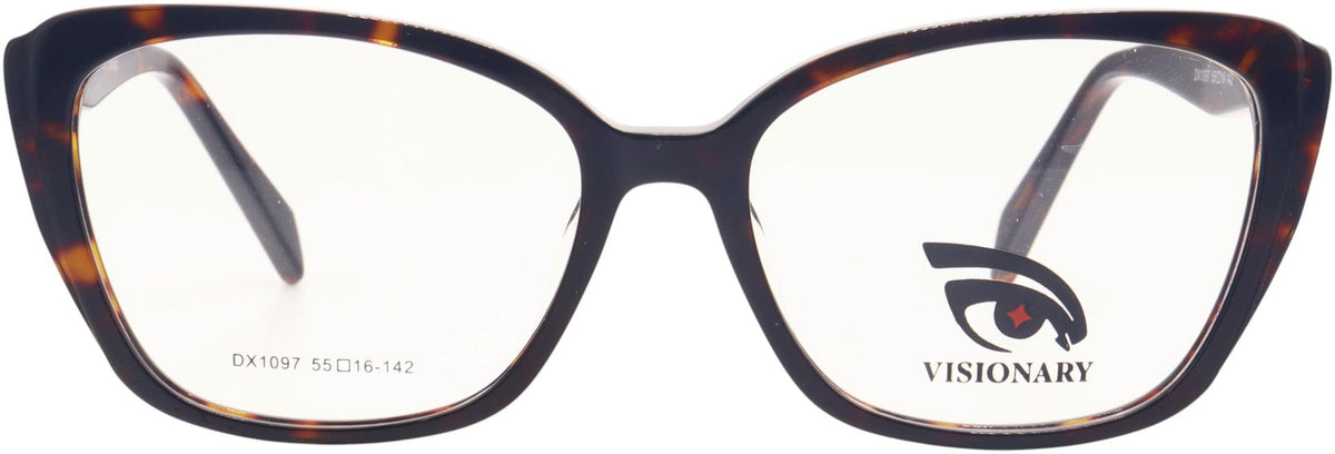 Visionary DX1097