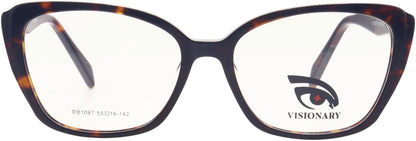 Visionary DX1097