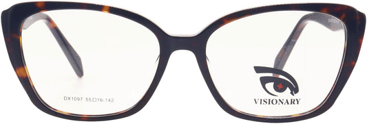 Visionary DX1097