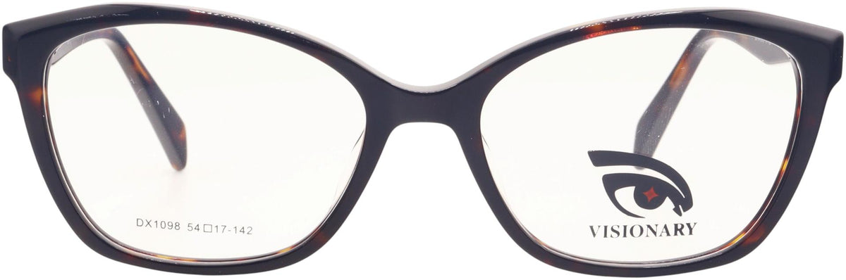 Visionary DX1098