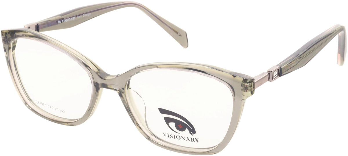Visionary DX1098