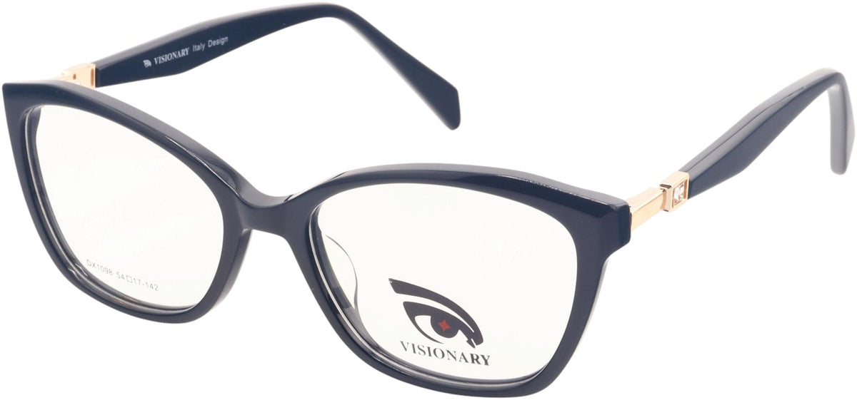 Visionary DX1098
