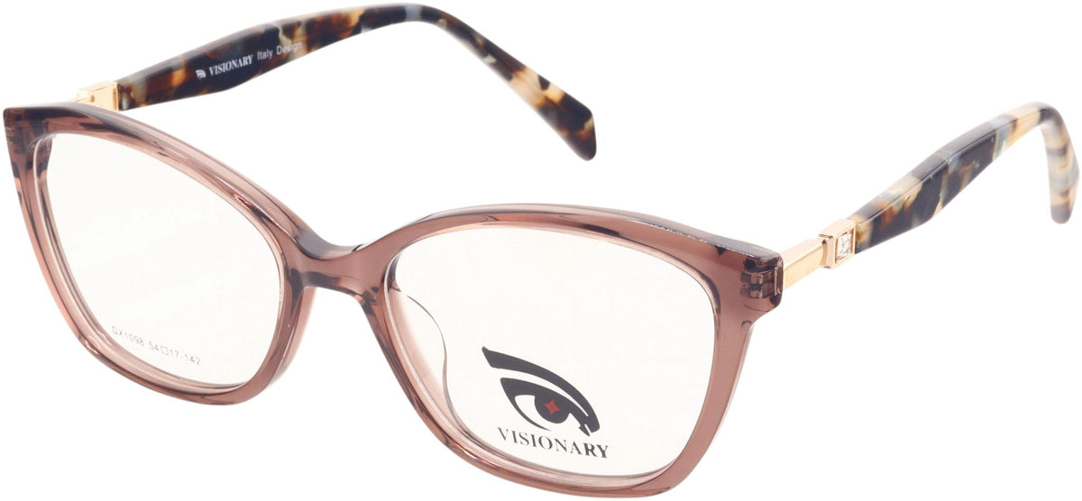 Visionary DX1098