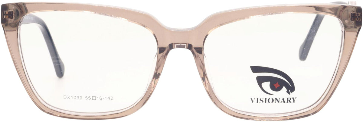 Visionary DX1099