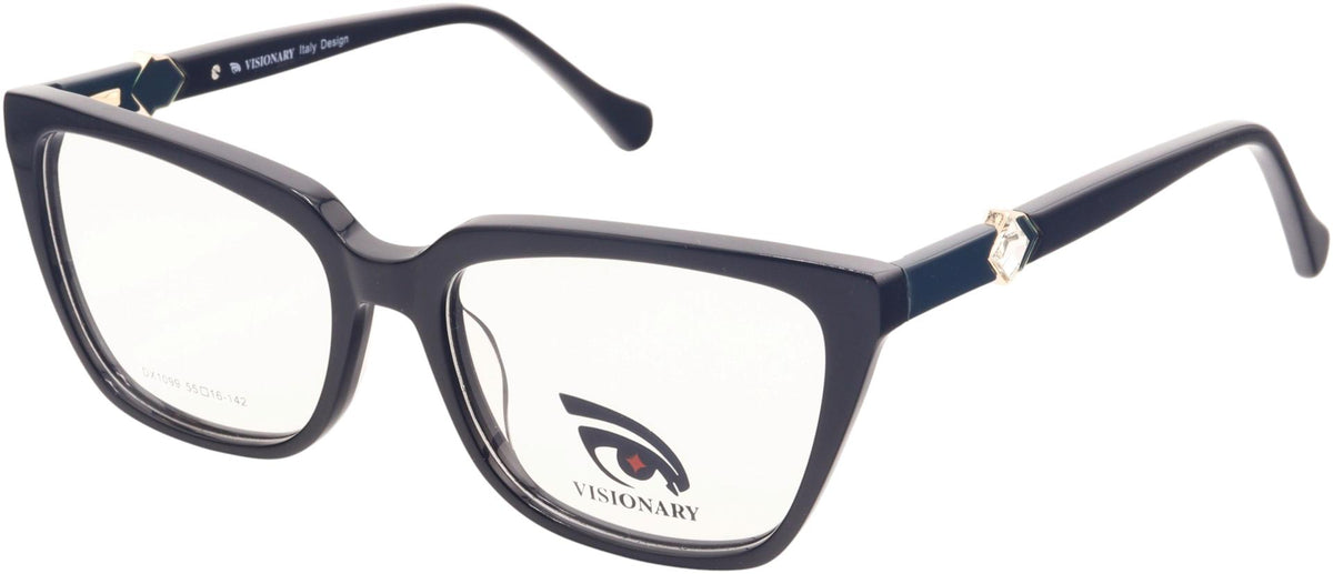 Visionary DX1099